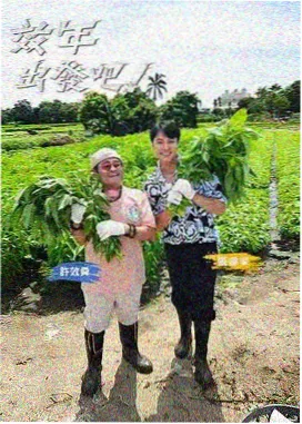 顶级厨师 美国美食真人秀